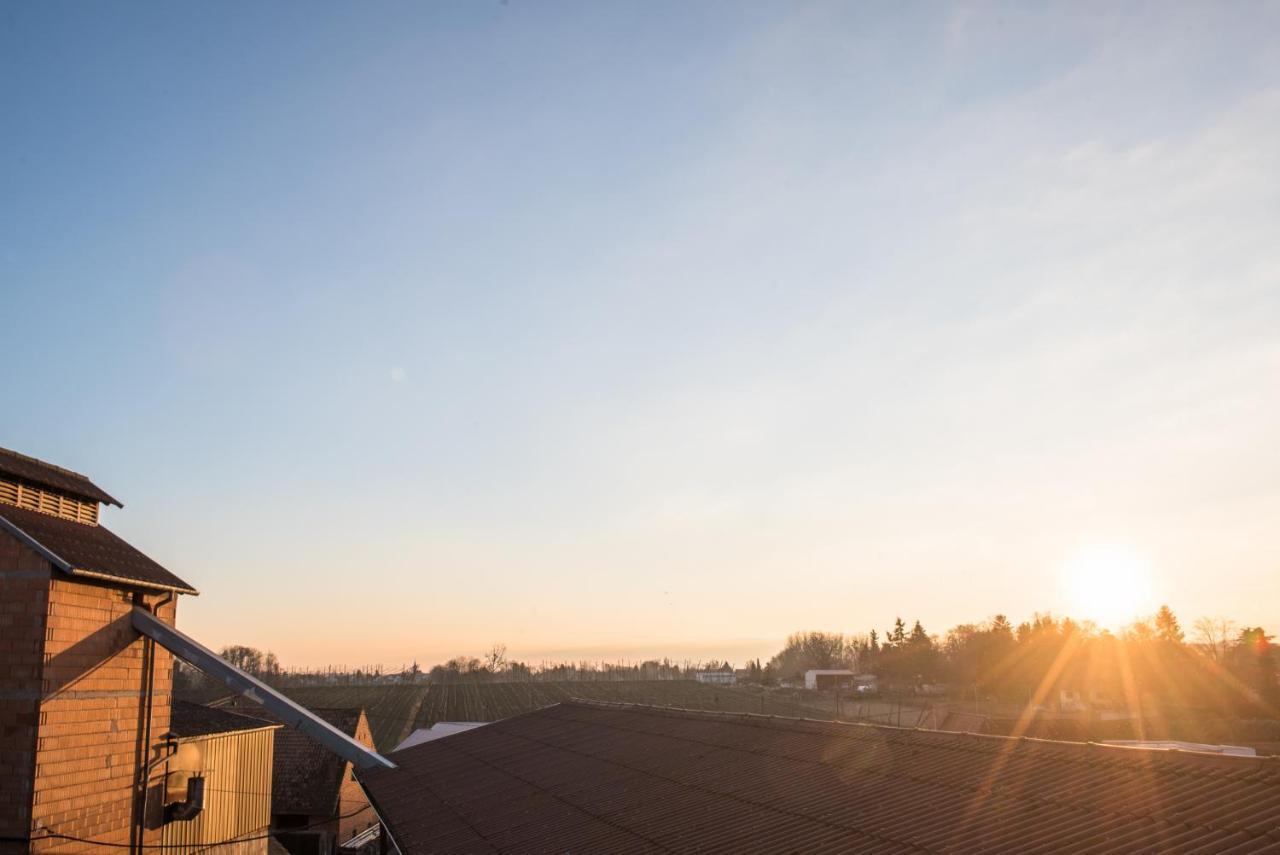 Apartamento Nouveau - La Parenthese Wingersheim-les-Quatre-Bans Exterior foto